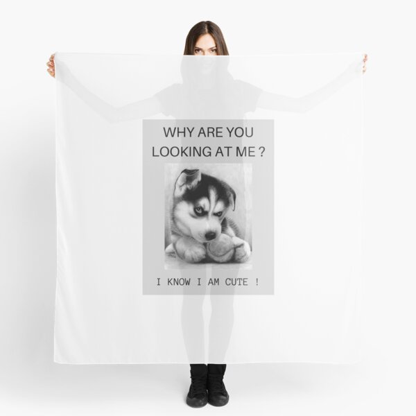 DOG PICTURE - WHY ARE YOU LOOKING AT ME ! Scarf