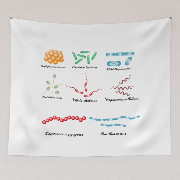 Item preview, Famous Bacteria - Pathogens designed and sold by Shirtey.