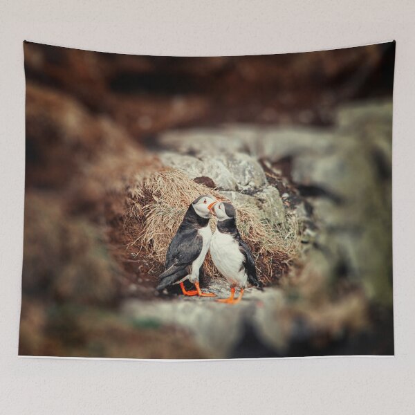 Item preview, Two puffins in love designed and sold by Photopat.