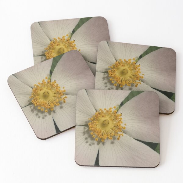Item preview, White flower  designed and sold by SEvelynDesigns.