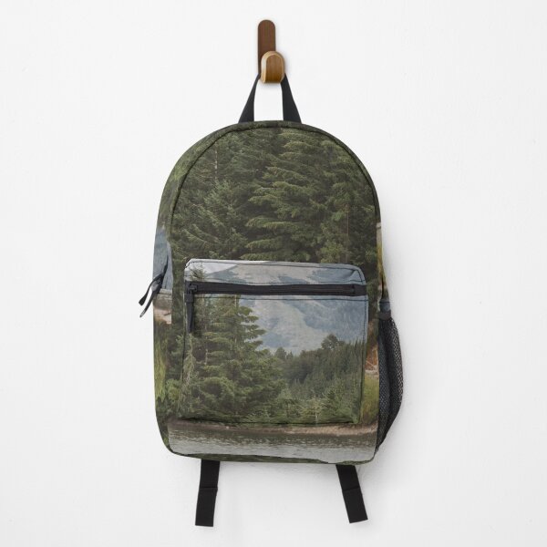 Item preview, Cabin on the forest by the lake | Bariloche, Argentina | Travel photography designed and sold by julidescole.