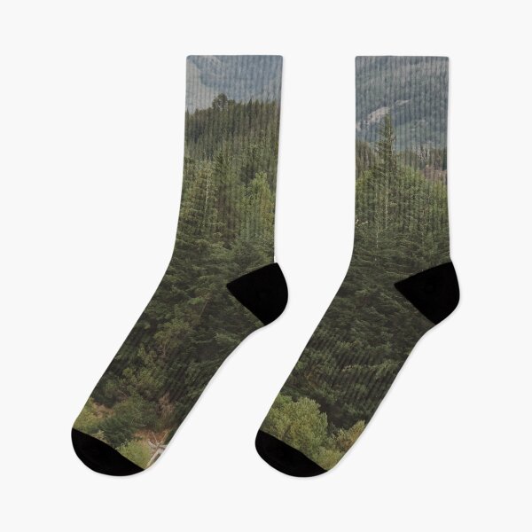 Item preview, Cabin on the forest by the lake | Bariloche, Argentina | Travel photography designed and sold by julidescole.