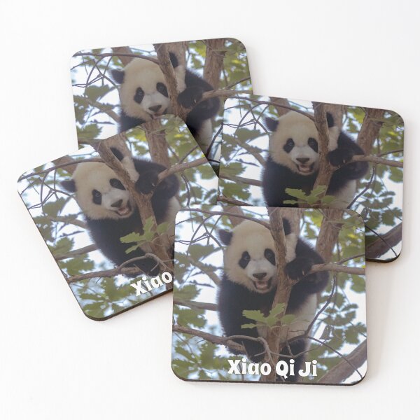 Item preview, Baby Panda Xiao Qi Ji at the National Zoo designed and sold by Zoo and Nature Photography by Karie.