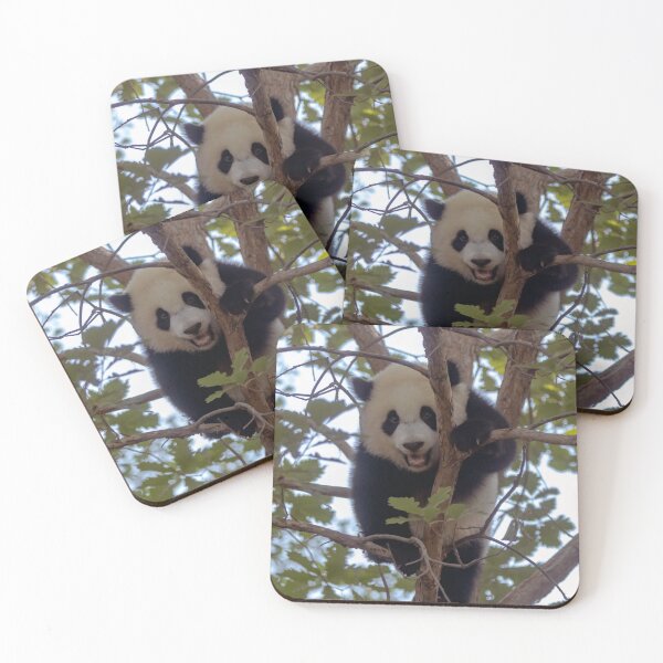 Item preview, Baby Panda Xiao Qi Ji at the National Zoo designed and sold by Zoo and Nature Photography by Karie.