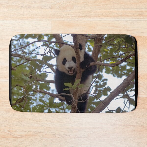 Item preview, Baby Panda Xiao Qi Ji at the National Zoo designed and sold by Zoo and Nature Photography by Karie.