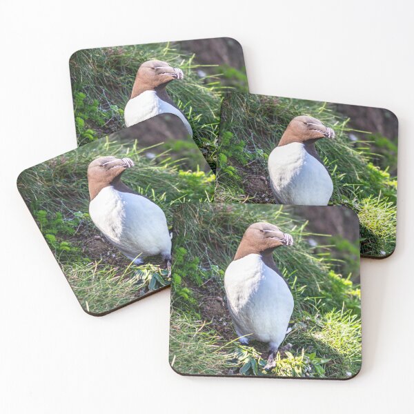 Item preview, Razorbill high on the cliffs of east Yorkshire designed and sold by grumpykeith.