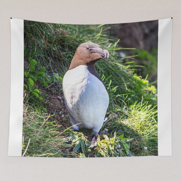 Item preview, Razorbill high on the cliffs of east Yorkshire designed and sold by grumpykeith.