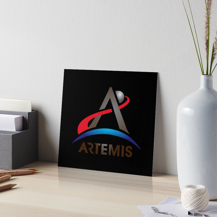 Artemis vintage creative arrow logo design sign Vector Image