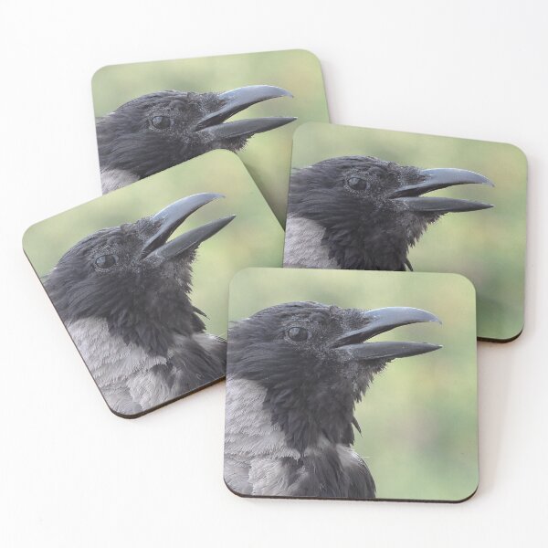 Item preview, Songbird designed and sold by Babbler01.