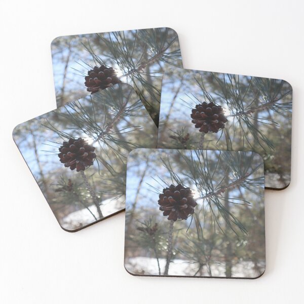 Item preview, PINECONE IN THE SUNLIGHT designed and sold by handletteringem.