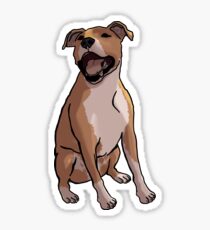 Pit Smile 1 Sticker