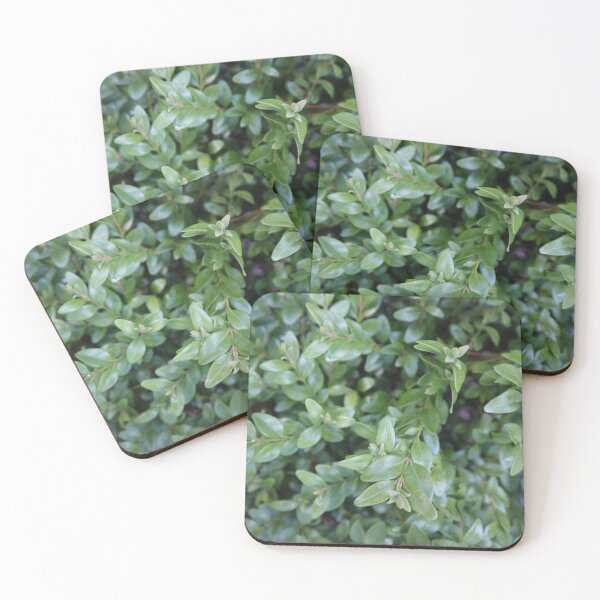Item preview, FRESH SPRING GREEN designed and sold by handletteringem.