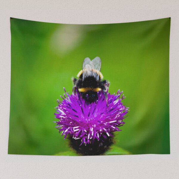 Item preview, The Bee Taking a Knap designed and sold by Amber Stringer Photography.