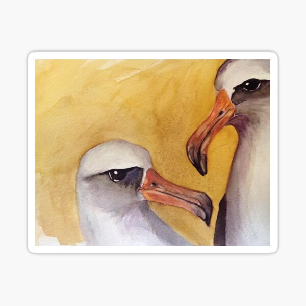 Albatross Pair Sticker