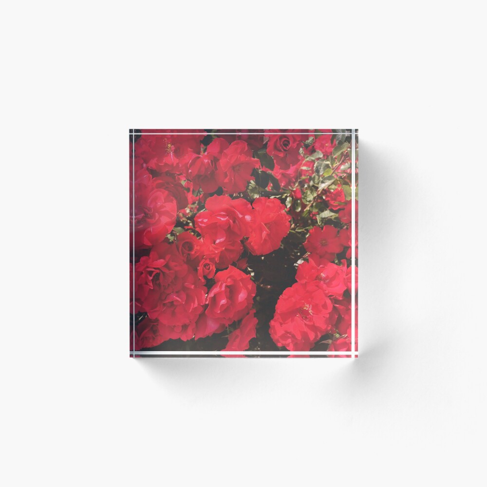 Item preview, Acrylic Block designed and sold by caruanam.