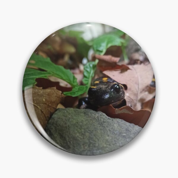 Item preview, Lizard photo designed and sold by ClaudiaAllx.
