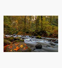 Bridal Veil Falls Photographic Print