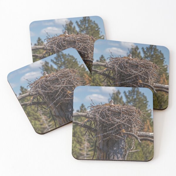 Item preview, Osprey in the Nest designed and sold by DAM Creative ⭐⭐⭐⭐⭐.