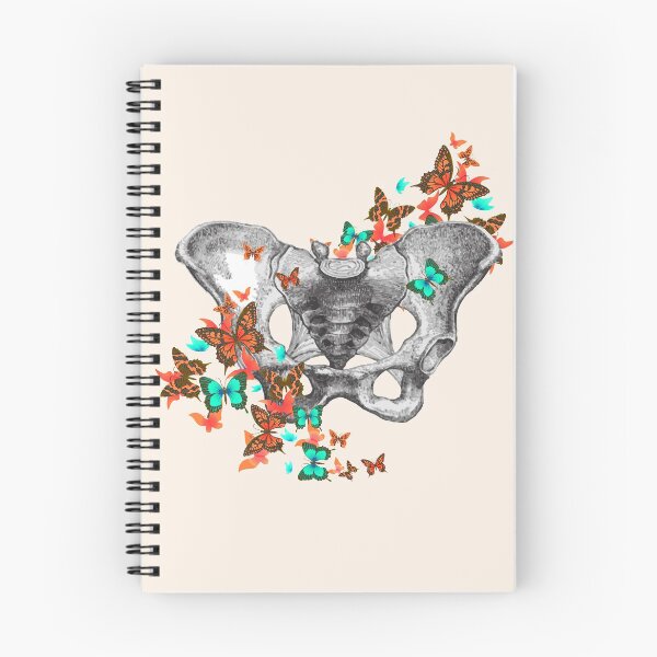 Item preview, female bones of the pelvis, colorful butterflies, Feminism, anatomy, anatomical art, daisy  designed and sold by Collagedream.