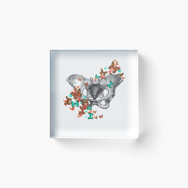Item preview, female bones of the pelvis, colorful butterflies, Feminism, anatomy, anatomical art, daisy  designed and sold by Collagedream.