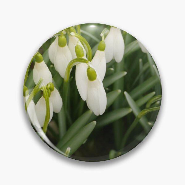 Item preview, snowdropswhite primroses  close-up designed and sold by mrivserg.