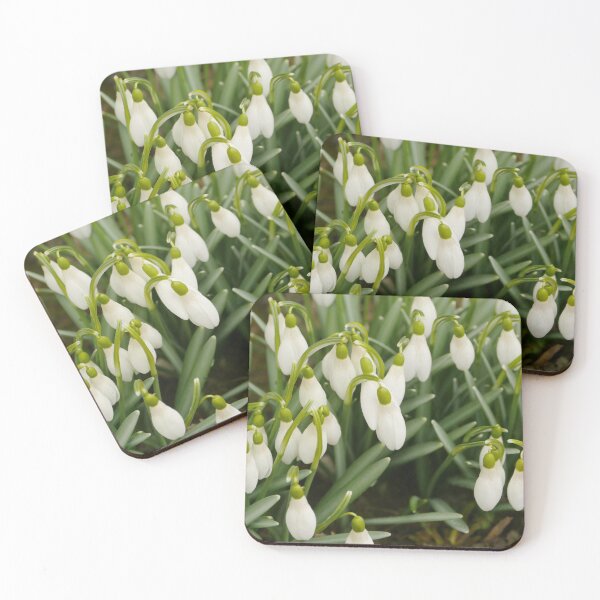 Item preview, snowdropswhite primroses  close-up designed and sold by mrivserg.