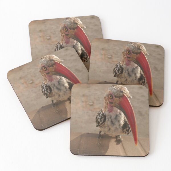 Item preview, hornbill  designed and sold by annet goetheer.