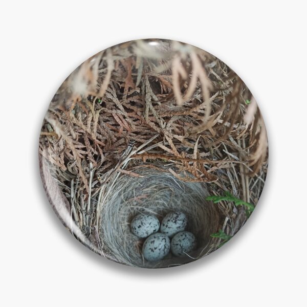 Item preview, Bird nest designed and sold by ClaudiaAllx.
