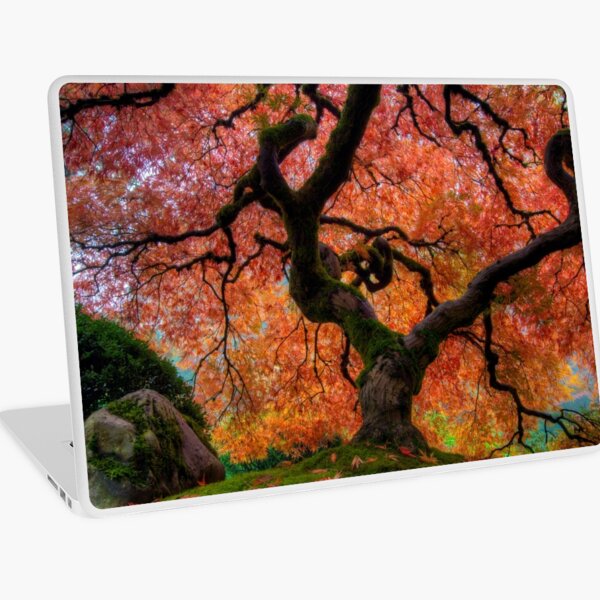 Item preview, Japanese Maple Tree designed and sold by davidgnsx1.