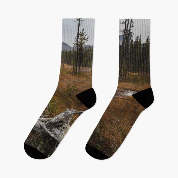 Item preview, Cirque Lake - Looking out over a clearing designed and sold by nexxai.