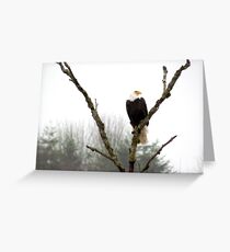 Eagle's Rest Greeting Card