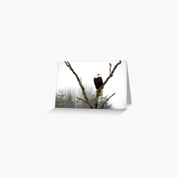 Item preview, Eagle's Rest designed and sold by cinebarcowboy.