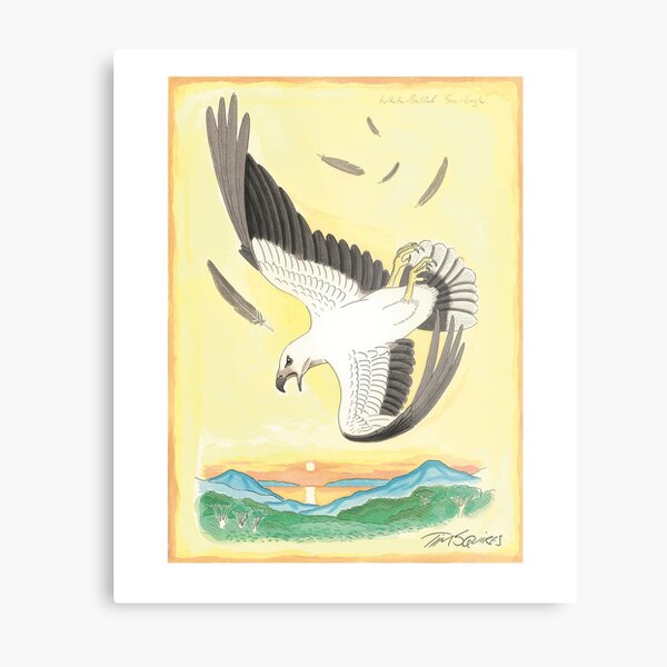 White-bellied Sea-eagle Metal Print