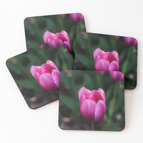 Item preview, Pink Tulip designed and sold by Jane Ruttkayova.