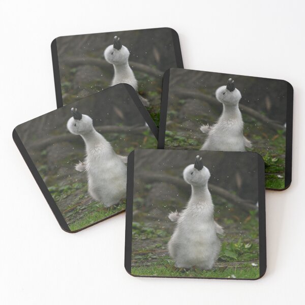 Item preview, Cygnet Shakedown  designed and sold by ClaireChown.