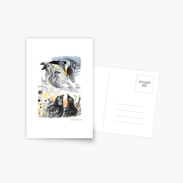 Yellow Wattlebird Postcard