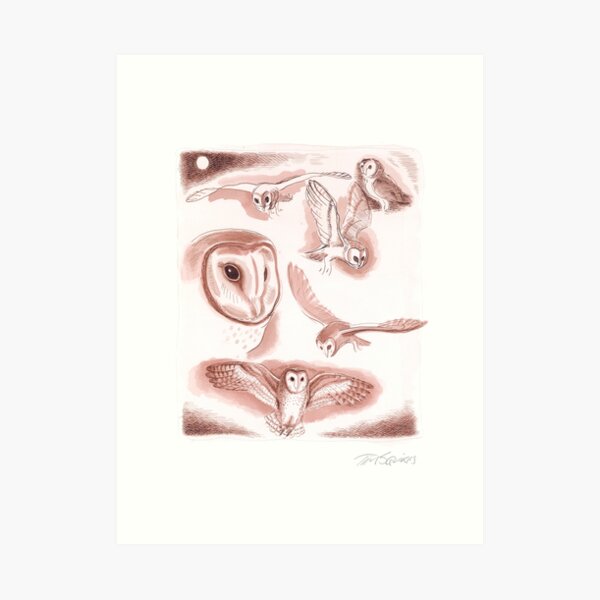 Masked Owl Art Print