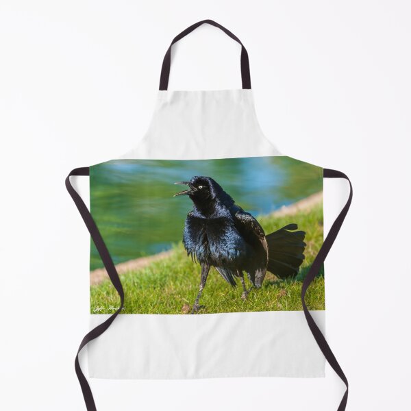 Item preview, Great-Tailed Grackle Courtship Display designed and sold by Jeff Goulden Photography.