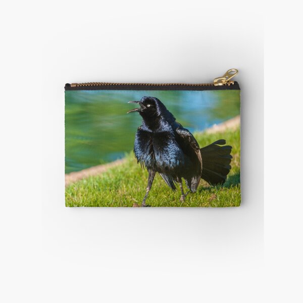 Item preview, Great-Tailed Grackle Courtship Display designed and sold by Jeff Goulden Photography.