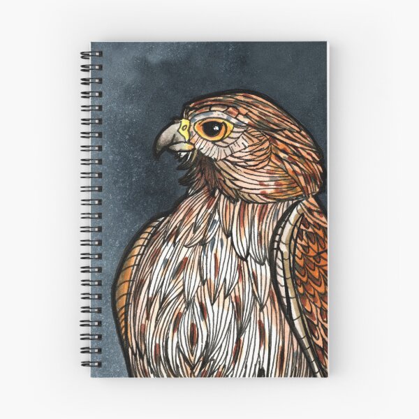 Item preview, Falcon designed and sold by -Senaar-.