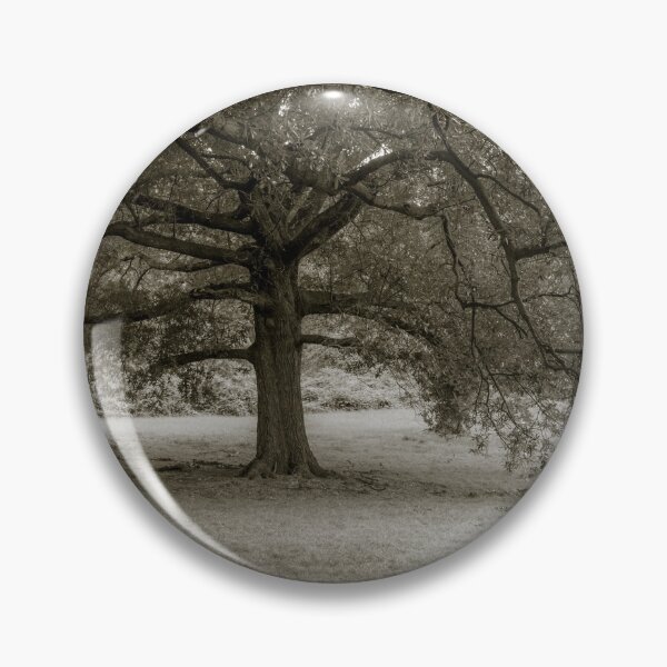 Item preview, Tree Channeling Sally Mann designed and sold by LizAlbroPhotos.