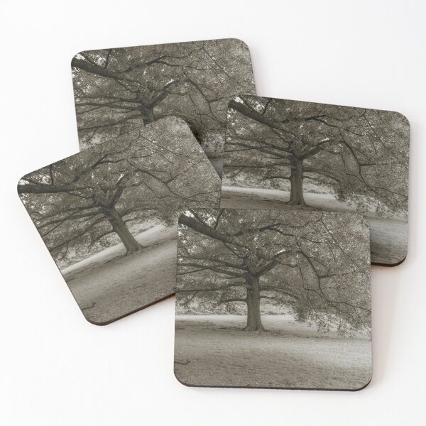 Item preview, Tree Channeling Sally Mann designed and sold by LizAlbroPhotos.