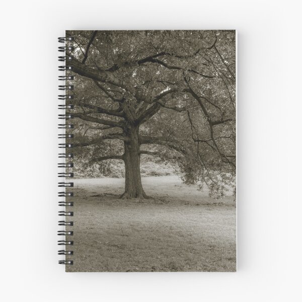 Item preview, Tree Channeling Sally Mann designed and sold by LizAlbroPhotos.