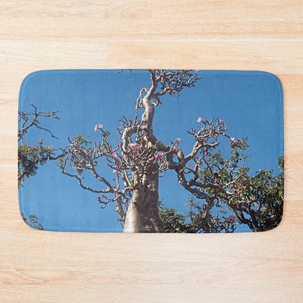 Item preview, Desert Rose Tree Closeup, Socotra Island designed and sold by worldways.