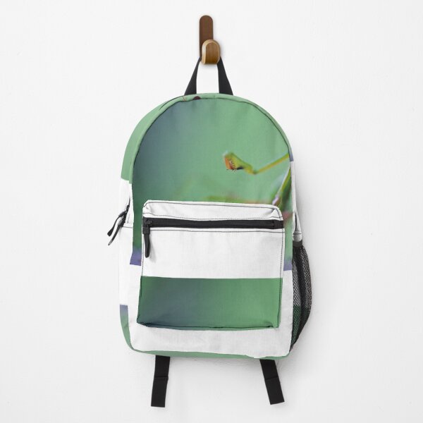 Item preview, Praying Mantis designed and sold by D-GaP.