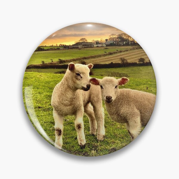 Item preview, Two Little Lambs designed and sold by IBMClothing.