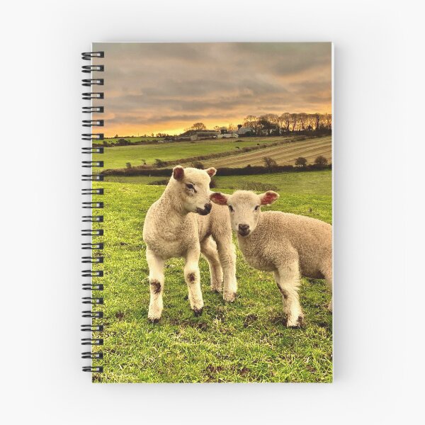 Item preview, Two Little Lambs designed and sold by IBMClothing.