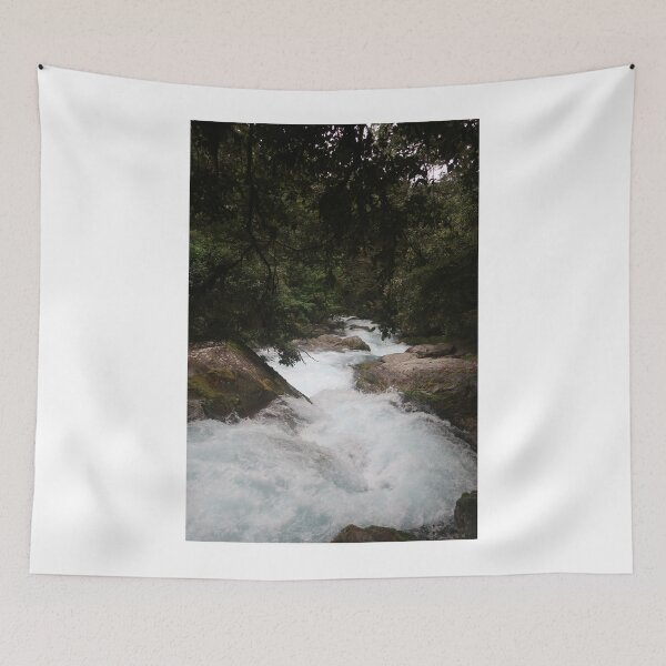 Item preview, Water Flows Down a Stream on a Hike in New Zealand designed and sold by izzy8793.
