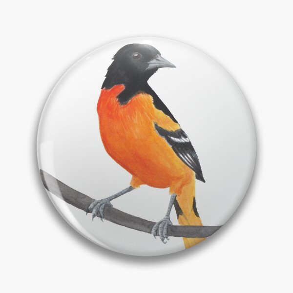 Artikelvorschau, Baltimore Oriole entworfen und verkauft von Alexis Rodefer.