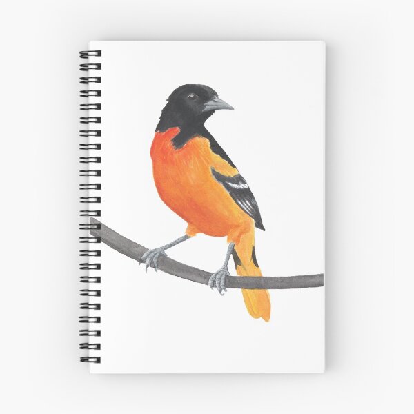 Artikelvorschau, Baltimore Oriole entworfen und verkauft von Alexis Rodefer.